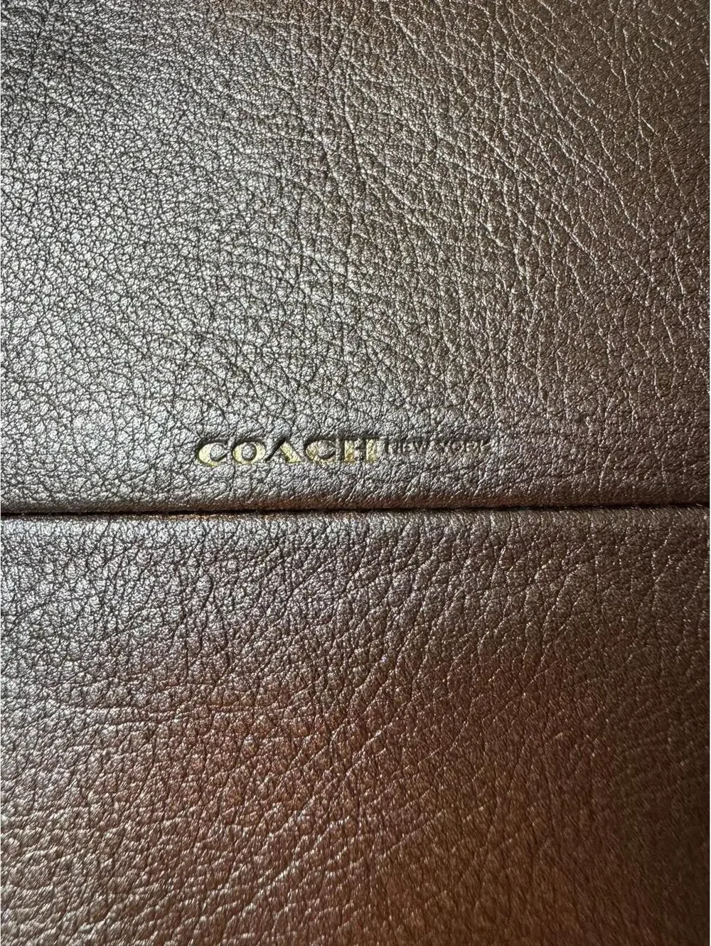 Coach Metallic Leather Crossbody Bag 2014